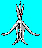 DOTIMG_000773.png ( 2 KB / 150 x 170 pixels )