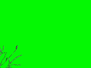 DOTIMG_003441_1.gif ( 295 KB / 320 x 240 pixels )