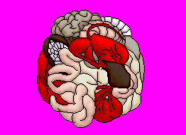 DOTIMG_006982.gif ( 73 KB / 262 x 191 pixels )