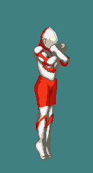 DOTIMG_009298.gif ( 10 KB / 135 x 250 pixels )