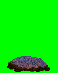 DOTIMG_000205.gif ( 120 KB / 200 x 250 pixels )