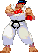 RYU.JPG - 17,181BYTES